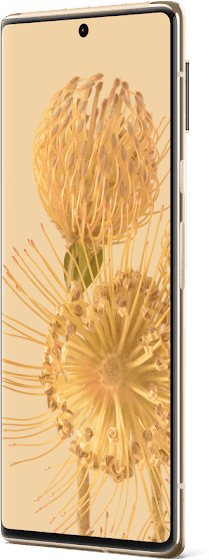 Google Pixel 6 Pro 5G UW TD-LTE JP 256GB GF5KQ